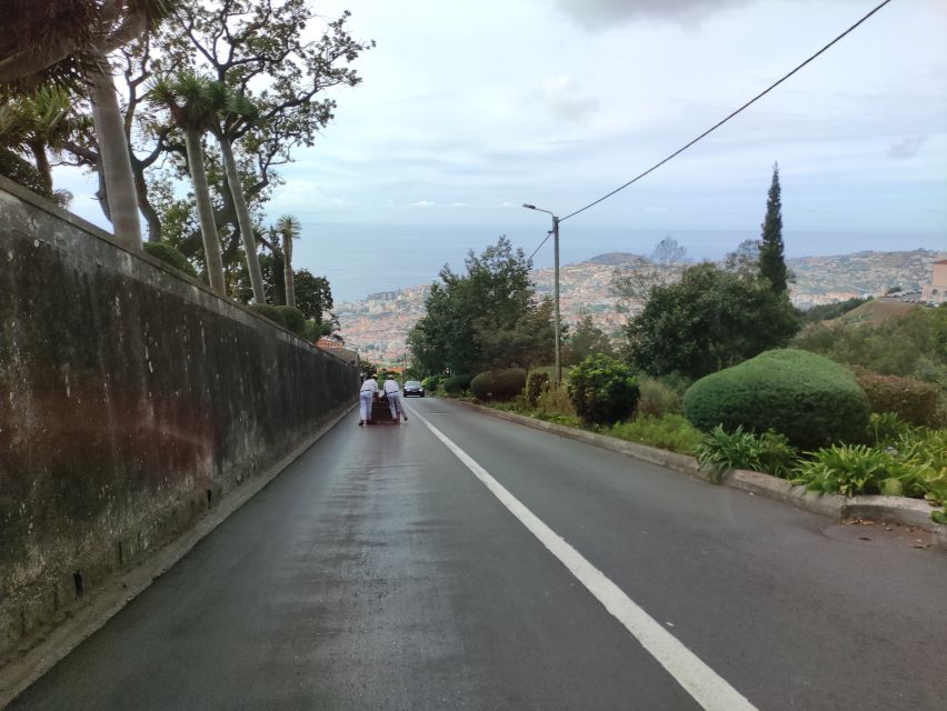 Funchal: Monte Toboggan and Old Town Tour by Tuk-Tuk - Key highlights at a glance