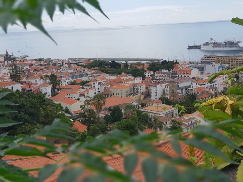 Funchal: Monte Toboggan and Old Town Tour by Tuk-Tuk - Old Town and the Farmers Market area: the everyday side of Madeira