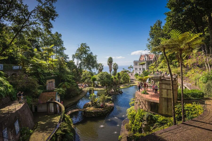 Funchal: Monte Tropical Garden & Toboggan Ride by Tuk Tuk - Where the value really comes from: tickets plus guided transport, not just admissions