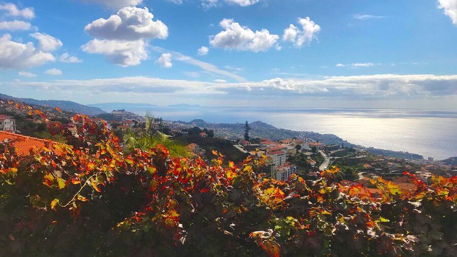 Funchal: Northern Levada Walking Tour - Campanário, the payoff for your walking time