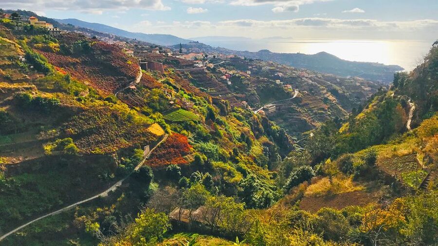 Funchal: Northern Levada Walking Tour - How long it really takes, and how the pace feels