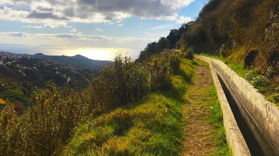 Funchal: Northern Levada Walking Tour - What you get for $38, and where the value comes from