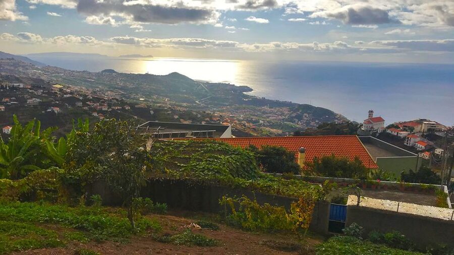Funchal: Northern Levada Walking Tour - What to bring so the walk feels easy, not stressful