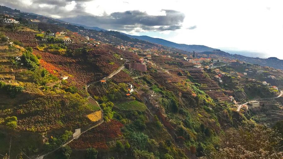 Funchal: Northern Levada Walking Tour - Weather reality on Madeira, and why flexibility helps