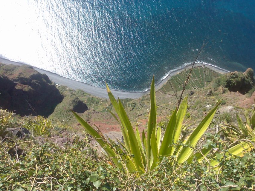 Funchal: Nuns Valley Half Day Tour - What the guide adds, especially on the mountain roads