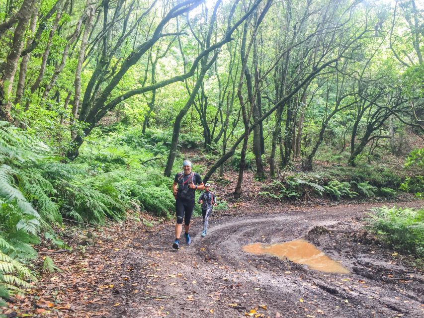 Funchal: Ocean to Mountain Running Tour - Ocean-to-mountain running in Madeira, how the route feels