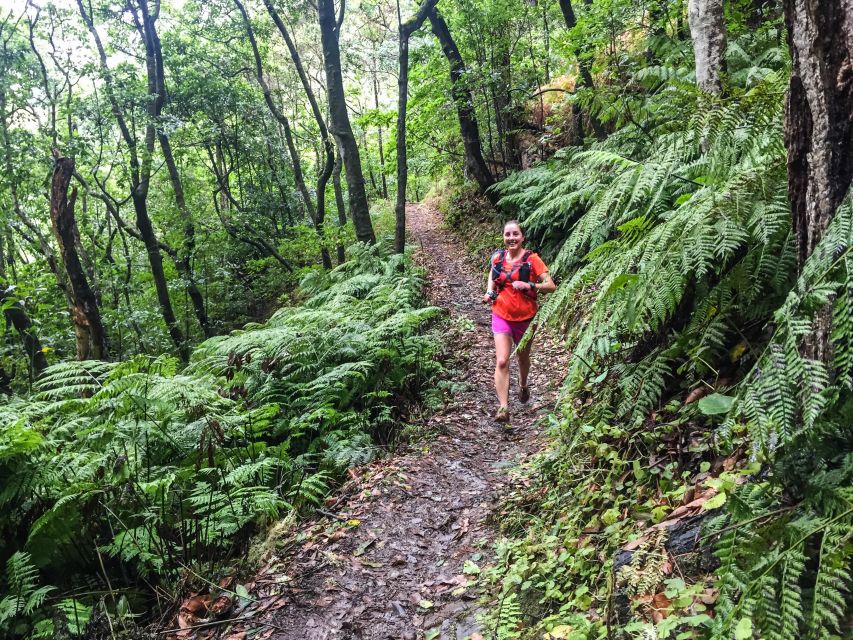 Funchal: Ocean to Mountain Running Tour - What you’re actually paying for at around $80