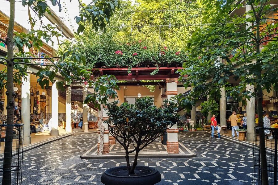 Funchal: Old Town Walking Tour - Colombo Square and Madeira’s sugarcane connection to Columbus