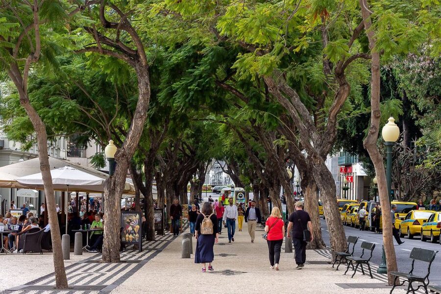 Funchal: Old Town Walking Tour - Jesuits’ College and City Hall: how the tour sets the tone