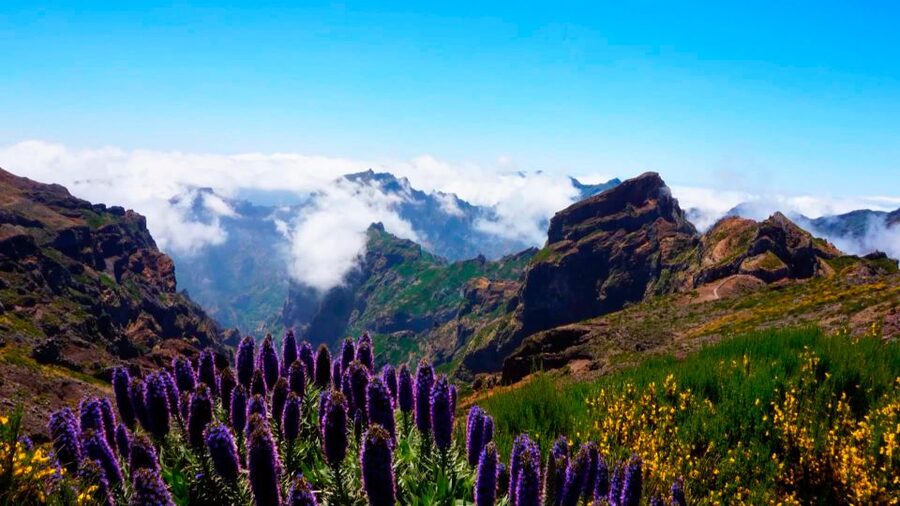 Funchal: Pico Arieiro, Cristo Rei and Dolphins Watching - Cristo Rei: a symbolic stop with time to look around