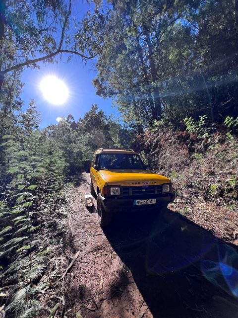 Funchal: Pico do Areeiro, Caniçal, Santana Jeep Safari Tour - Faial and Santana: houses you can read like a family photo album