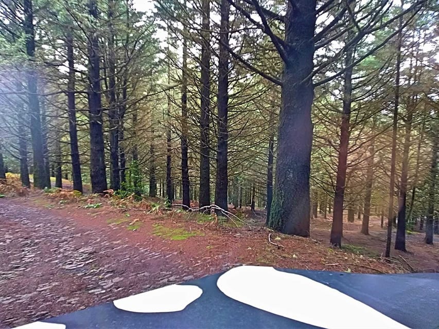 Funchal: Pico do Areeiro to Santana 4x4 East Tour - The return through Machico and Santa Cruz, plus why the route matters