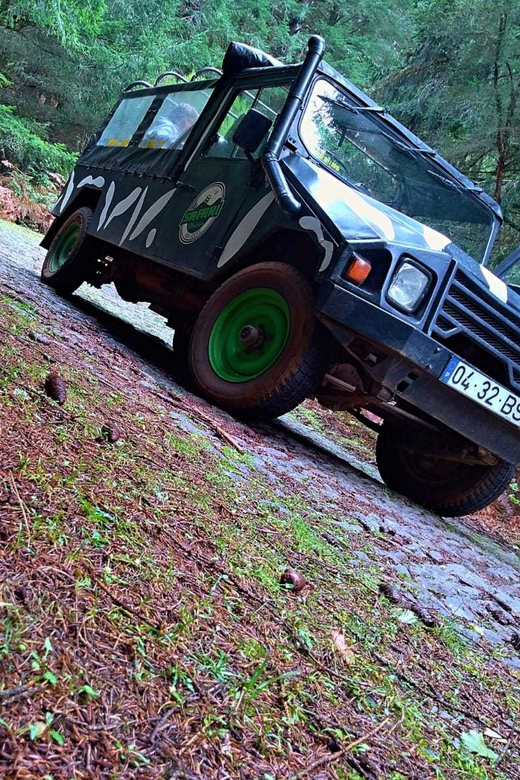 Funchal: Pico do Areeiro to Santana 4x4 East Tour - Price and value: what $73 buys you in East Madeira