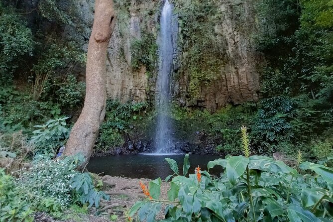 Funchal: Pico do Arieiro to Santana and Ponta de Sao Lorenco - Price and Timing: Does $72.10 Feel Like Good Value?