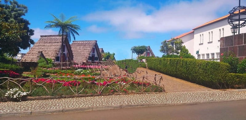 Funchal Private 4-Seater VIP Mercedes / 8-Seater Minibus - VIP transport: Mercedes comfort or an 8-seater minibus