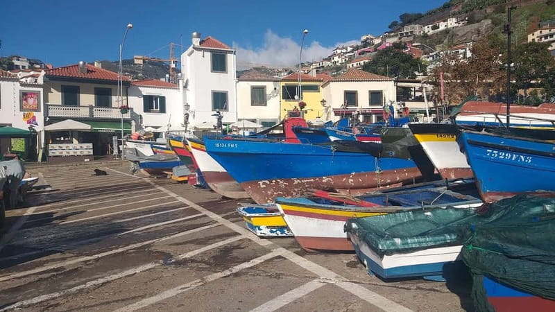 Funchal Private 4-Seater VIP Mercedes / 8-Seater Minibus - Stops you can build into your East or West plan
