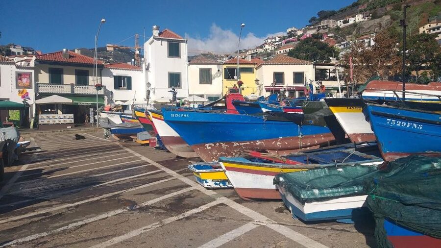 Funchal Private 4-Seater VIP Mercedes / 8-Seater Minibus - Pace and timing: how you avoid the feeling of being rushed