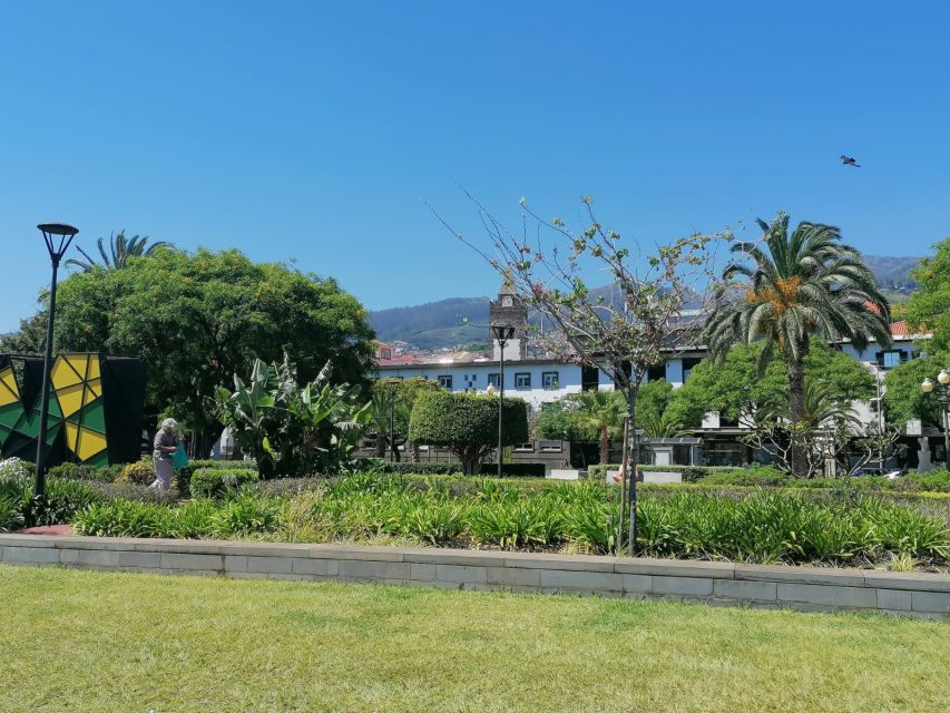 Funchal: Private Guided Tour of Historic Center by Tuk Tuk - Why This Tuk Tuk Tour Works So Well for Funchal