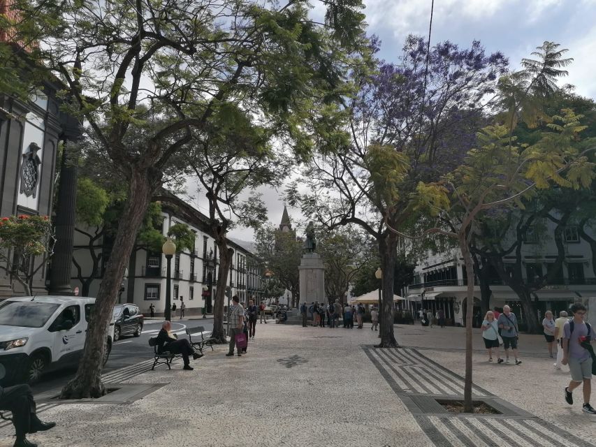 Funchal: Private Guided Tour of Historic Center by Tuk Tuk - Panoramic Views: Photos with a Purpose