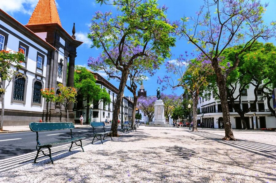 Funchal: Private Guided Tour of Historic Center by Tuk Tuk - City Hall in Funchal: Civic Landmarks and the City’s Everyday Power