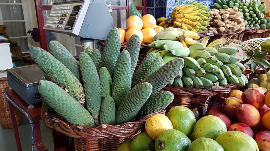 Funchal: Private Guided Walking Tour - What to bring, and the real-world logistics that help