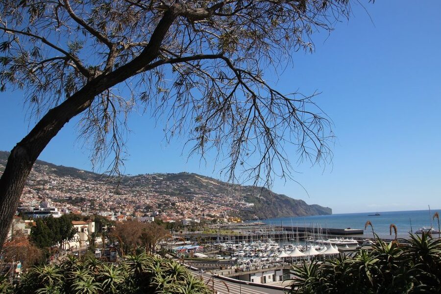 Funchal: Private Tour with a Local Guide - What Happens on a 2 to 6 Hour Private Walking Tour