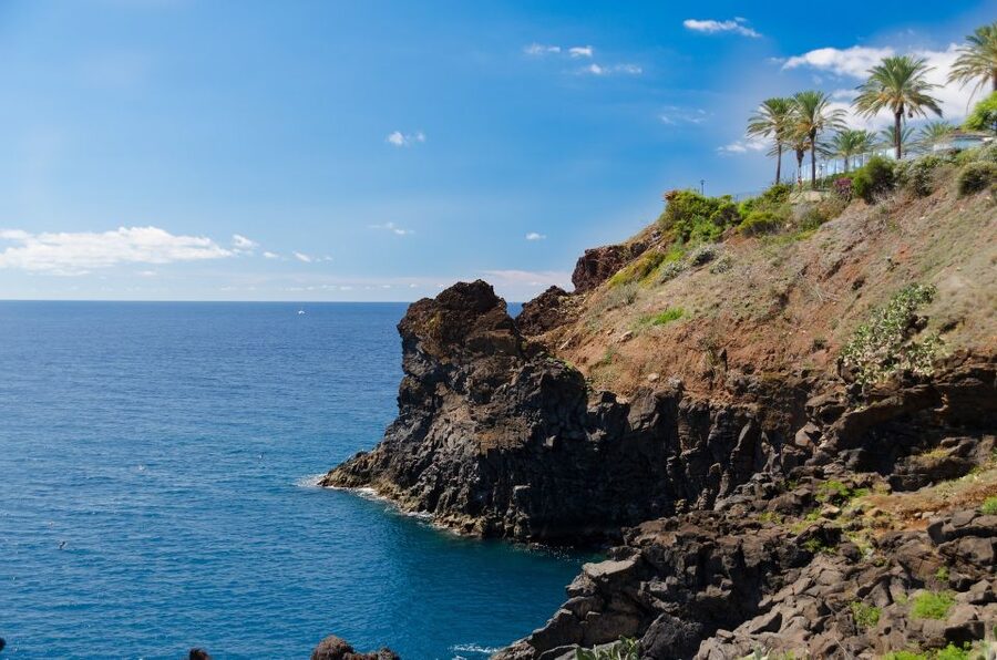 Funchal: Private Tour with a Local Guide - Value for Money: What $55 Can Actually Buy You Here