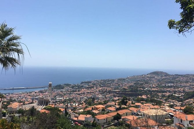 Funchal Private Transfers Service to Madeira Airport - Key things that make this transfer worth your attention