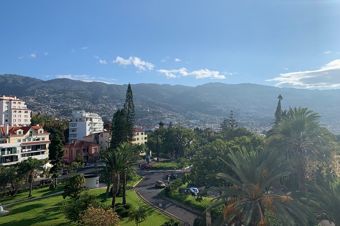 Funchal Private Transfers Service to Madeira Airport - Pickup timing: the small detail that prevents big headaches
