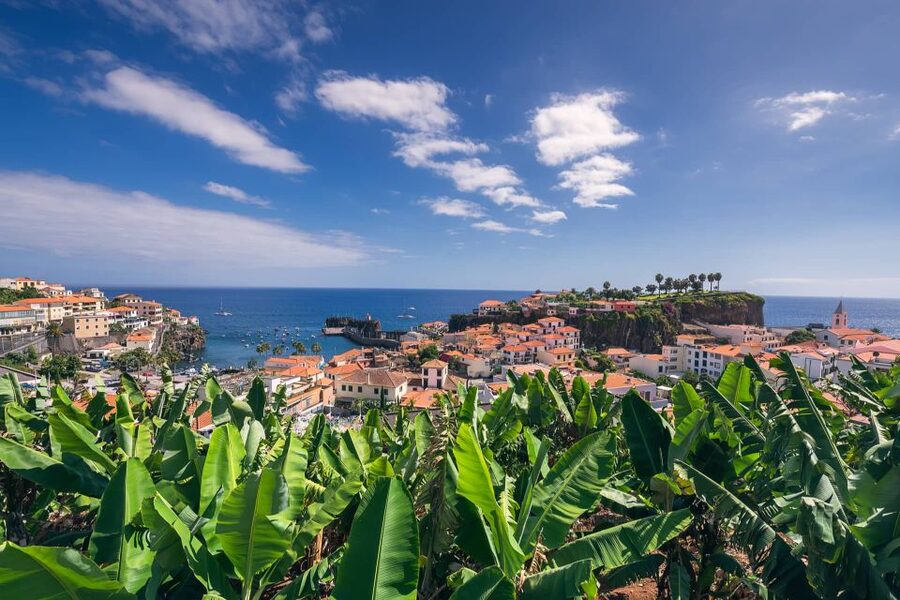 Funchal: Private Tuk-Tuk Tour to Cabo Girão Cliff - Skywalk - What to bring, what not to bring, and who should skip it