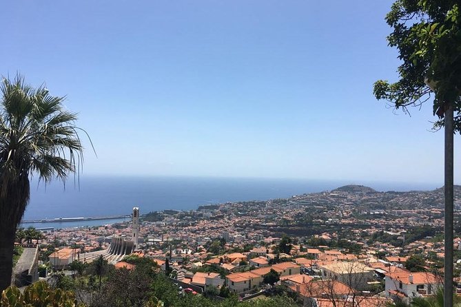 Funchal Private Vehicle Service with Driver for a Half Day or Full Day - Time limits and mileage: how to avoid feeling rushed