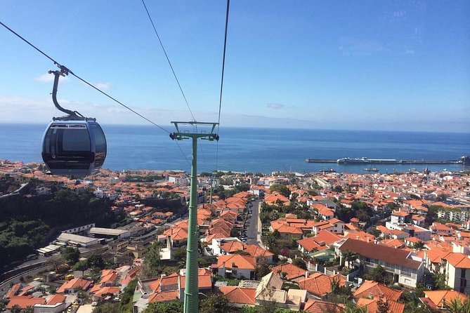 Funchal Private Vehicle Service with Driver for a Half Day or Full Day - Drivers who know Madeira: the difference between a ride and a day