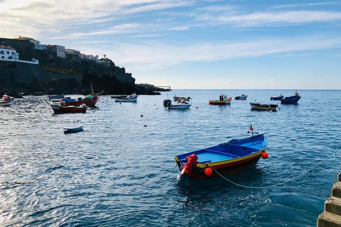 Funchal Private Vehicle Service with Driver for a Half Day or Full Day - Getting picked up in Funchal, including the cruise terminal