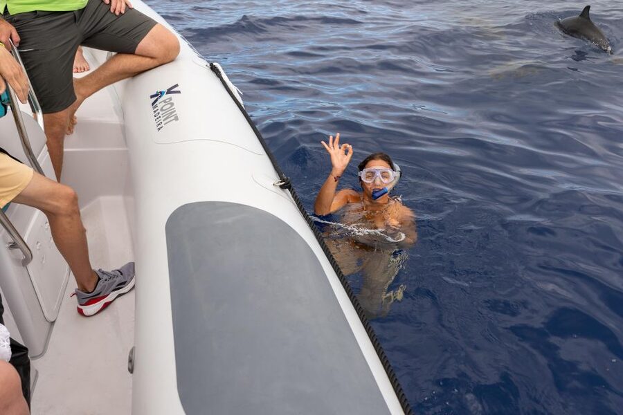 Funchal: RIB Whale Watching Cruise and Optional Dolphin Swim - Key points you’ll care about