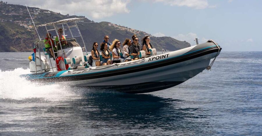 Funchal: RIB Whale Watching Cruise and Optional Dolphin Swim - Why a RIB whale and dolphin cruise out of Funchal is such a good use of time