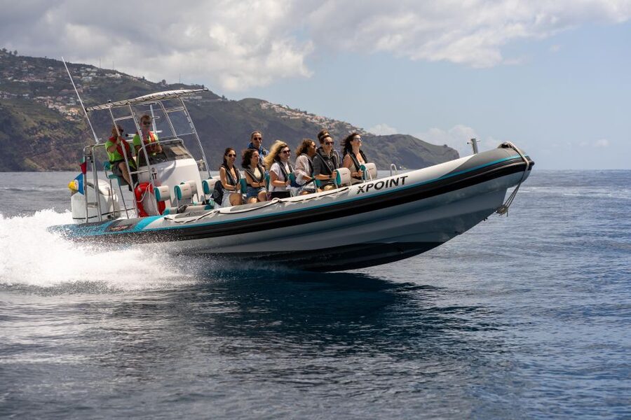 Funchal: RIB Whale Watching Cruise and Optional Dolphin Swim - The 2.5-hour flow on the water, from safety briefing to wildlife search