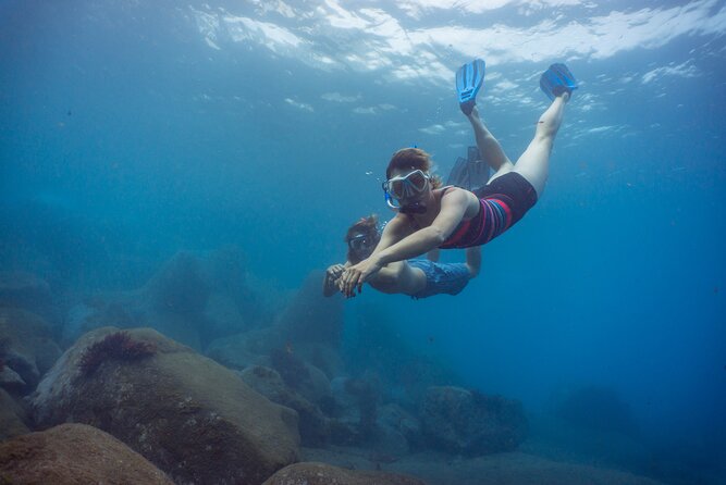 Funchal: Snorkeling Adventure in Eco-Park / Shore or by Boat - Key Points Before You Go