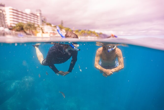 Funchal: Snorkeling Adventure in Eco-Park / Shore or by Boat - The 2-Hour Rhythm That Works for Beginners