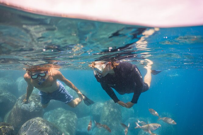 Funchal: Snorkeling Adventure in Eco-Park / Shore or by Boat - Your Intro Lesson: What You Learn Before You Swim