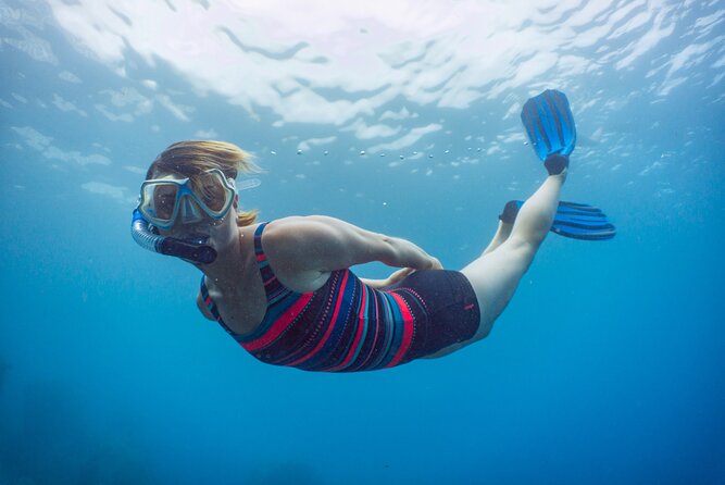 Funchal: Snorkeling Adventure in Eco-Park / Shore or by Boat - Who This Snorkel Trip Suits Best