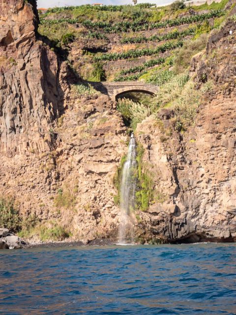Funchal: Speedboat SEE THE ISLAND AND LIFE AT SEA - Should You Book the Funchal Speedboat for Sea Life?