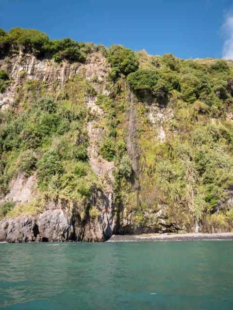 Funchal: Speedboat SEE THE ISLAND AND LIFE AT SEA - Wildlife Chances: Dolphins, Whales, and How to Make the Most of It