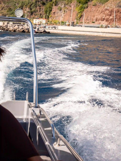 Funchal: Speedboat SEE THE ISLAND AND LIFE AT SEA - Comfort, Safety, and What to Bring (So You’re Not Miserable)