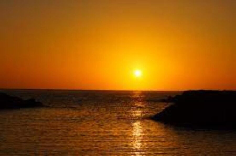 Funchal: Speedboat SEE THE ISLAND AND LIFE AT SEA - Eco-Friendly Cruising That Actually Matters