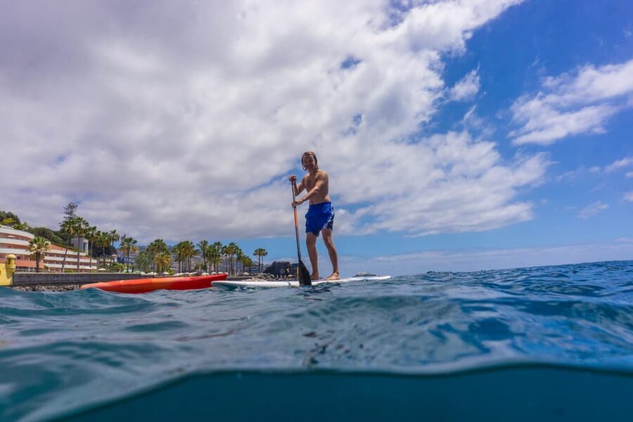 Funchal: SUP Rental or Guided tour with snorkeling - Key Points You’ll Care About