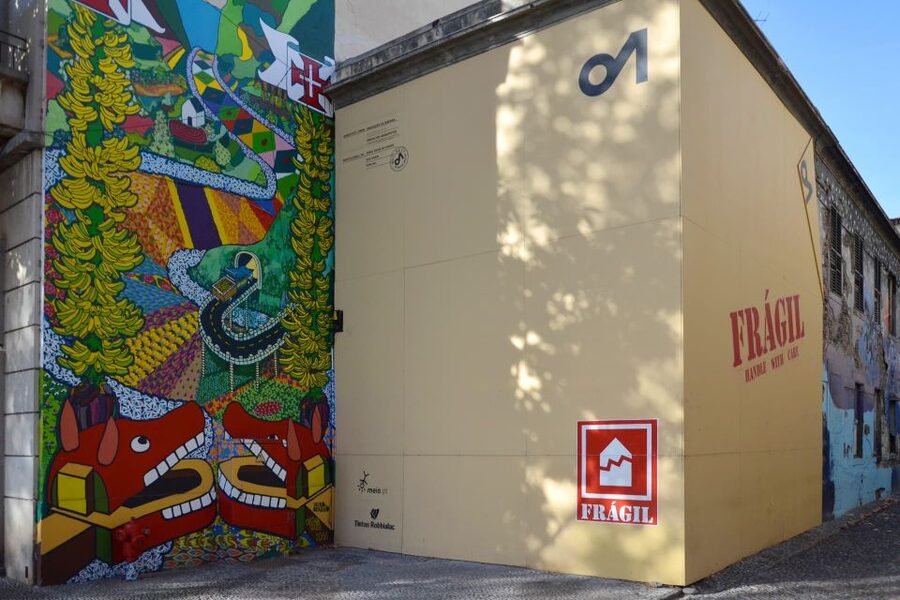 Funchal: Toboggan and Old Town Experience with Tukway - Who This Tuk Tuk and Toboggan Tour Fits Best