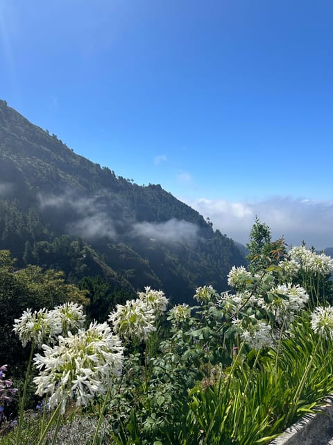 Funchal: Valley of the Nun’s tour by tuk tuk - From Funchal by tuk tuk: quick access to Madeira’s interior