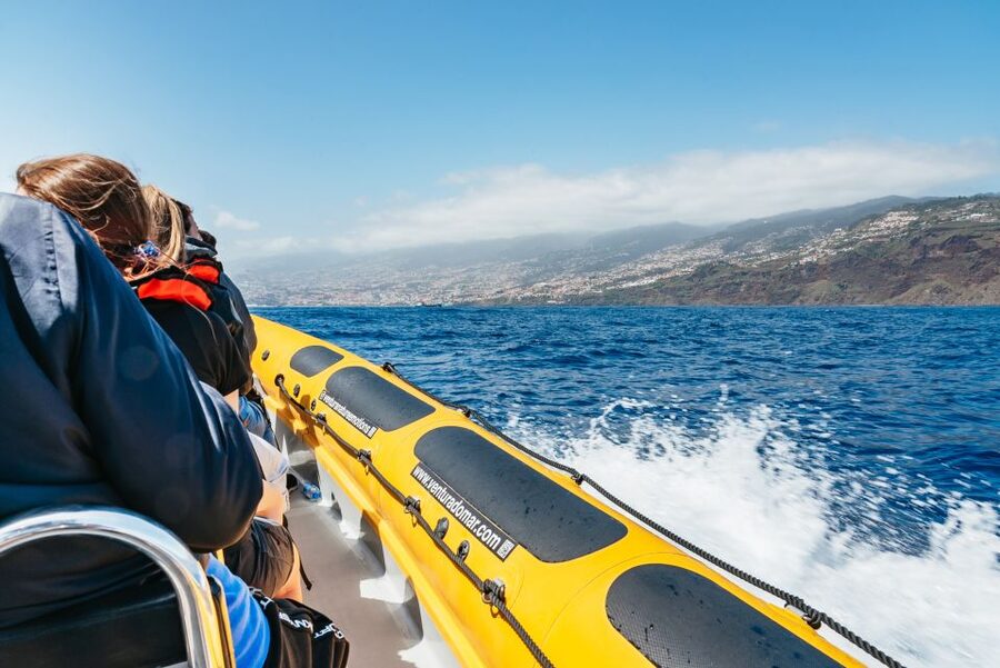 Funchal: Whale and Dolphin Watching Speed Boat Tour - Comfort, Safety, and Little Details That Matter