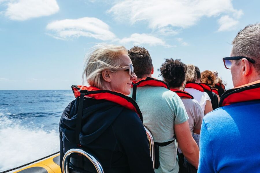 Funchal: Whale and Dolphin Watching Speed Boat Tour - How the Small Speed Boat Improves Your Chances