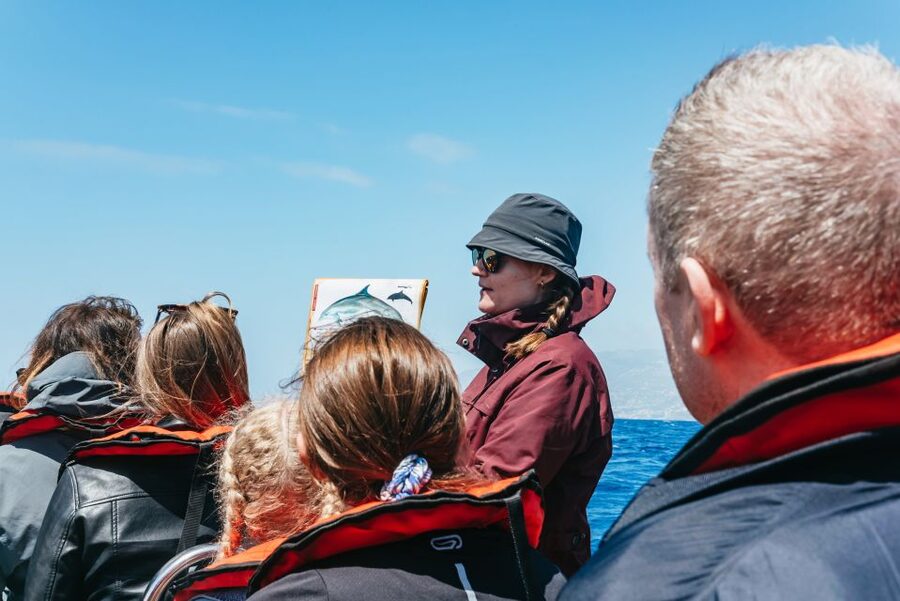 Funchal: Whale and Dolphin Watching Speed Boat Tour - Whale Sightings, and Why You Need to Keep Your Expectations Real